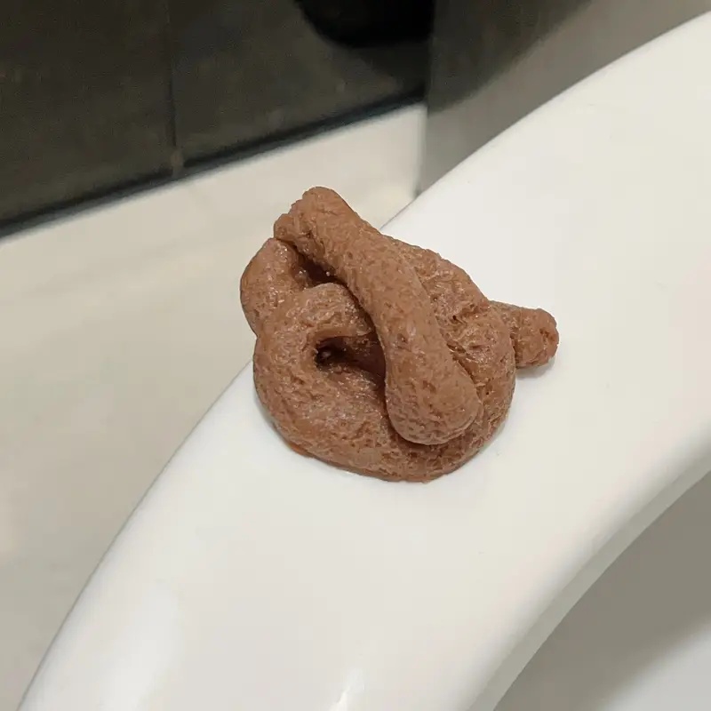 Juguete de broma de caca falsa - Fake Poop Gag Gift reseña y precio